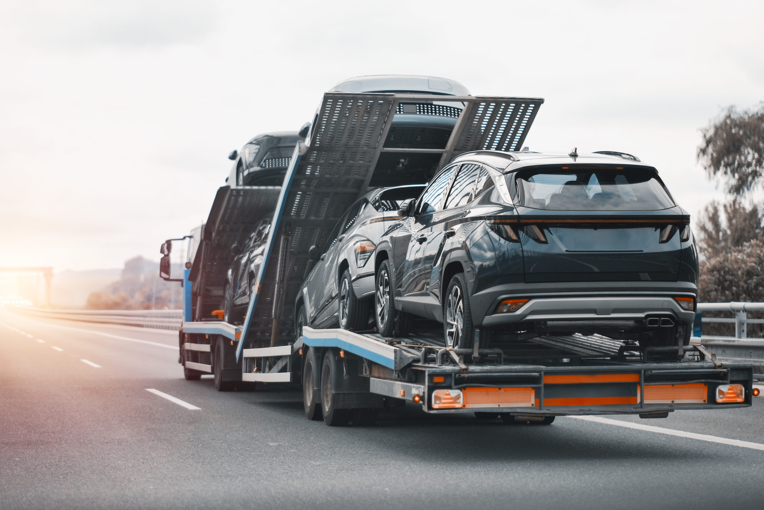 6 Benefits of Car Shipping for Snowbirds