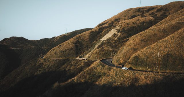 snowbird season